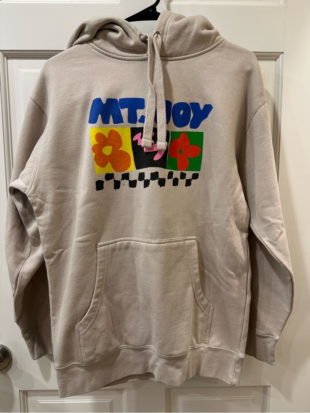 Mt. Joy tour hoodie